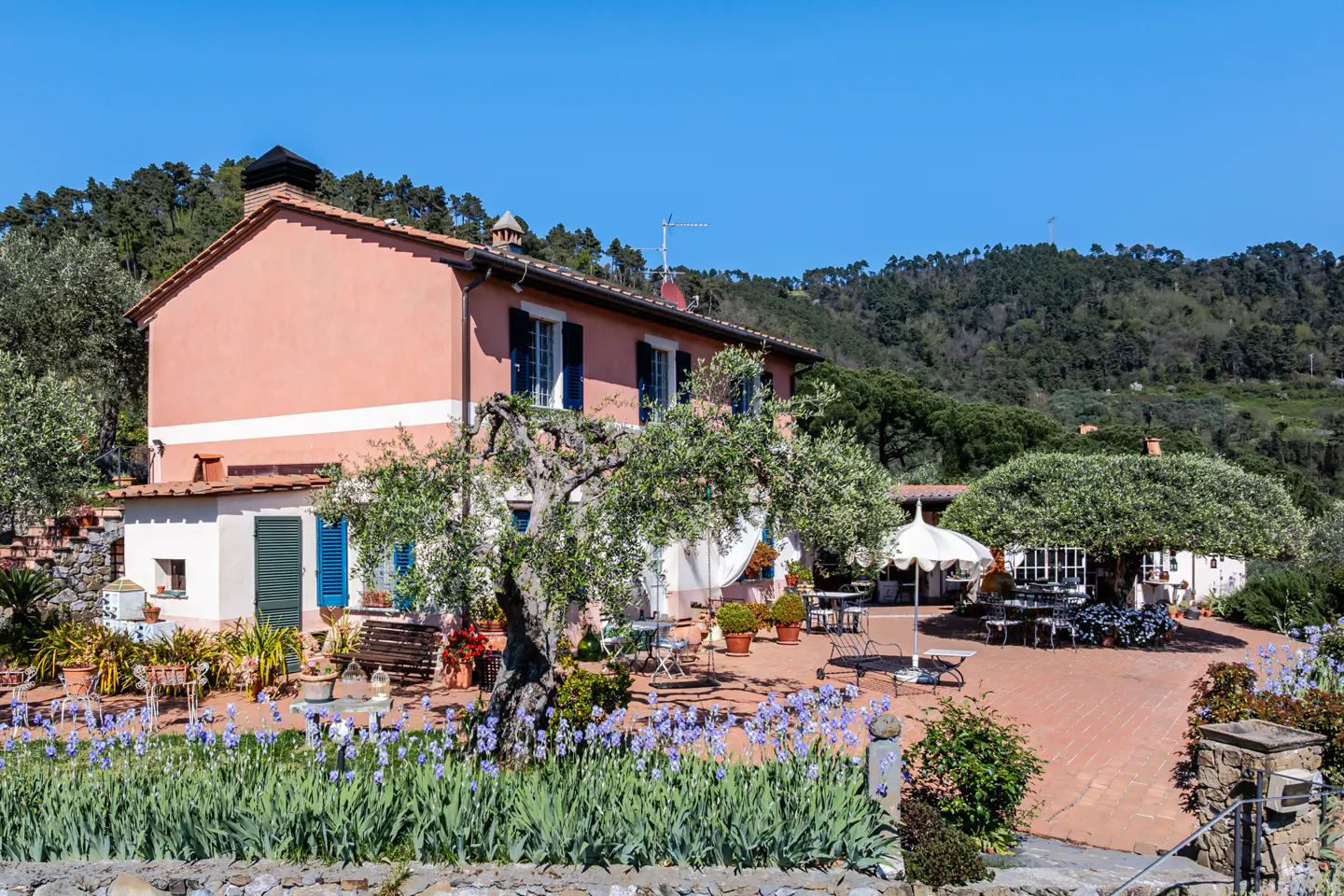 Exterior of a two-story pink house with blue shutters, a brick patio, and purple flowers in the foreground.