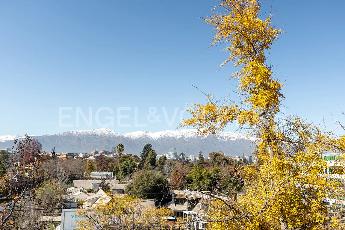 Cityscape view with yellow tree in foreground, houses, and snow-capped mountains against a blue sky.