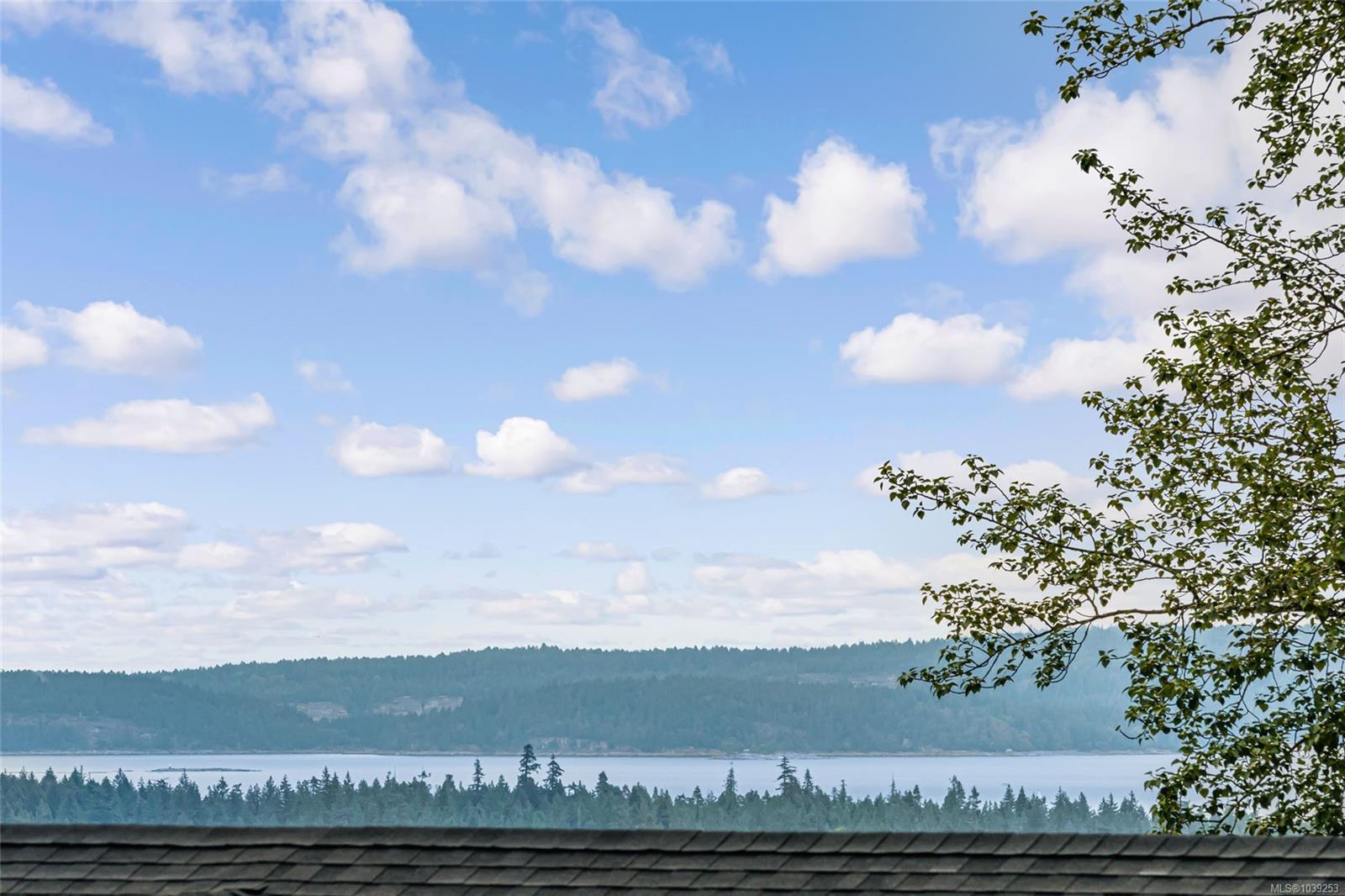 Stunning ocean & mountain views plus a legal 2 bedroom suite