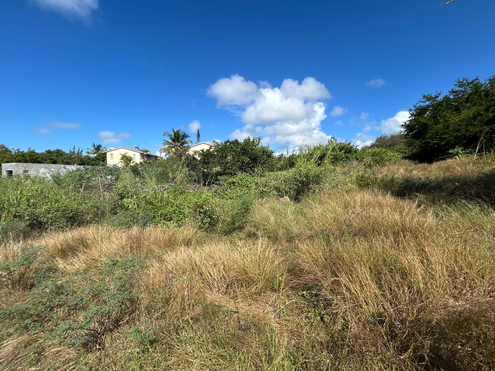 Peaceful Residential Land for Sale in Grand Gaube – Reserved for Mauritian Citizens