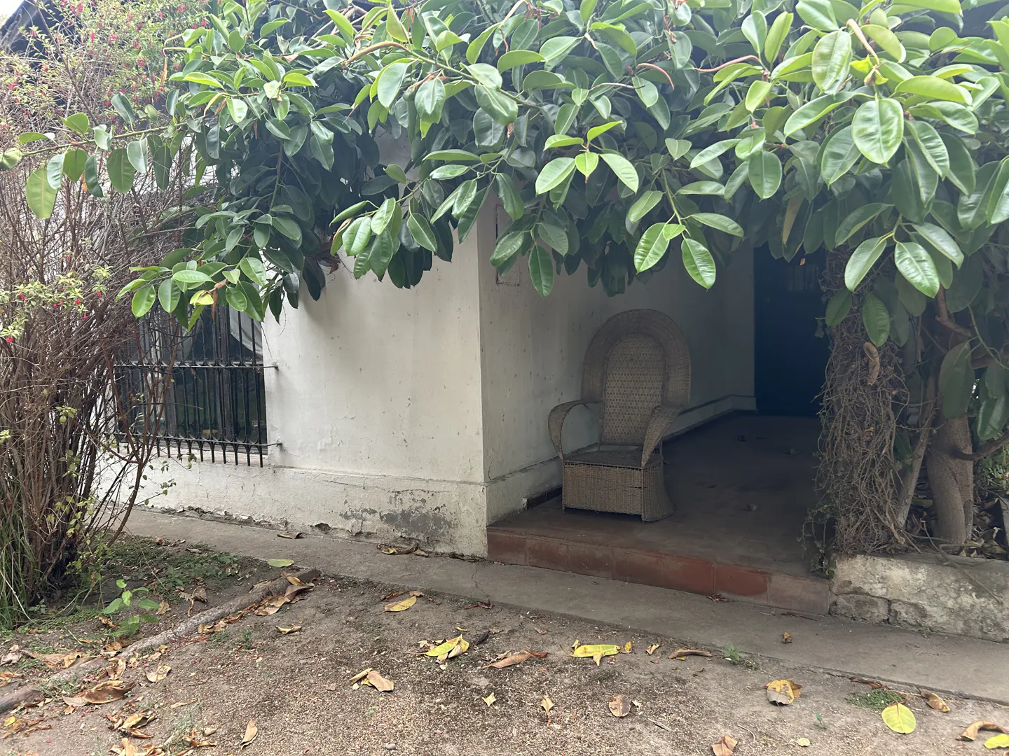 Exterior of a white house with a wicker chair on the porch, framed by green foliage. A barred window is visible on the left.