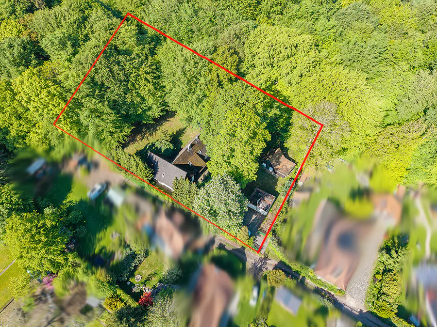 Aerial view of a house and outbuildings surrounded by dense green trees, outlined in red to show the property boundary.