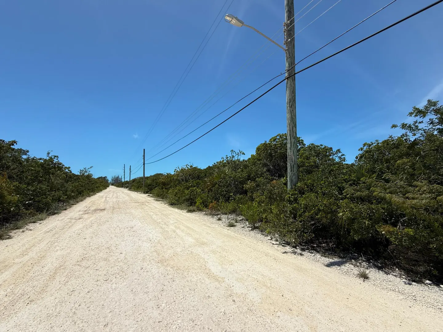 A dirt road stretches into the distance under a clear blue sky, lined with green trees and utility poles.