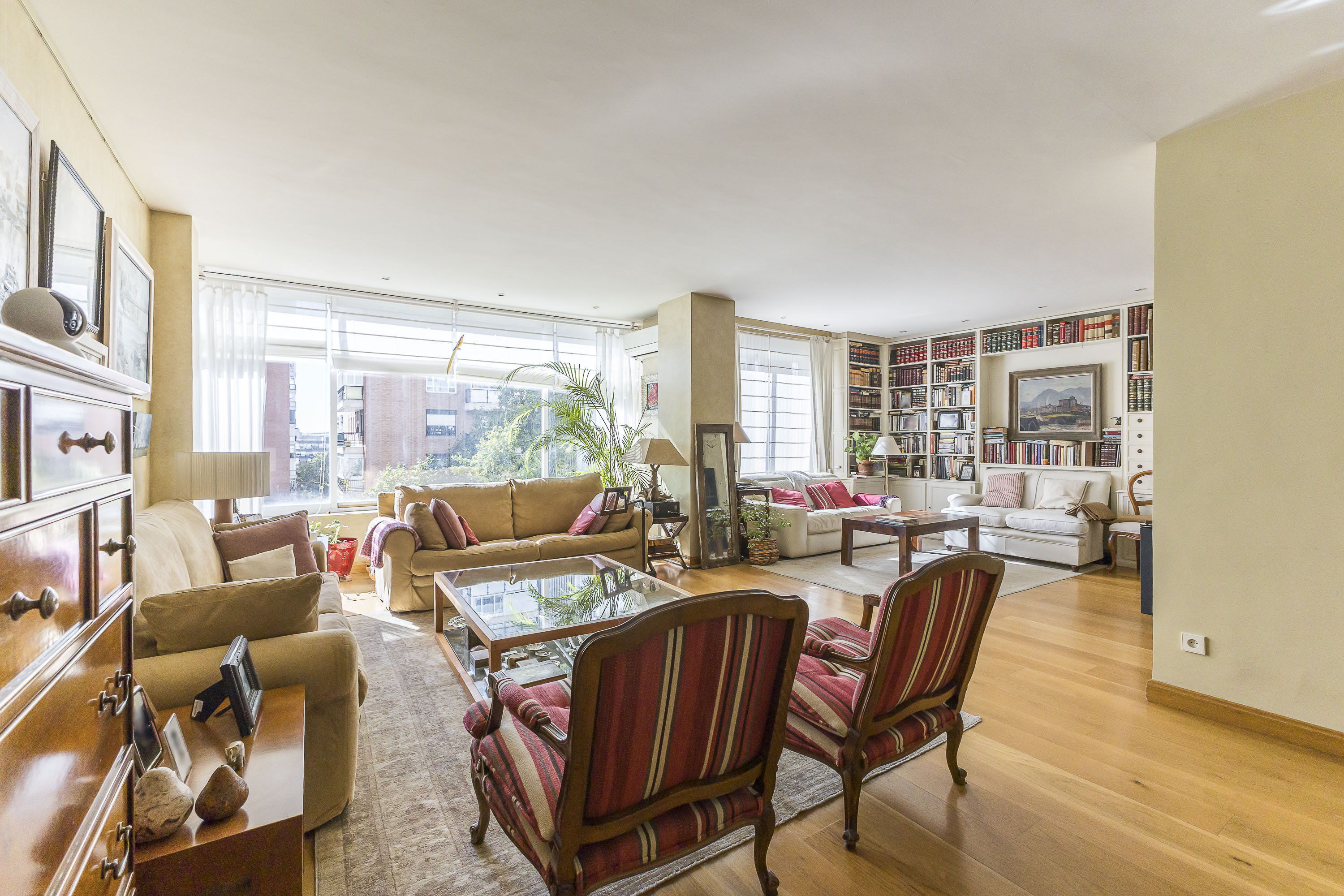 Bright apartment in Nueva España