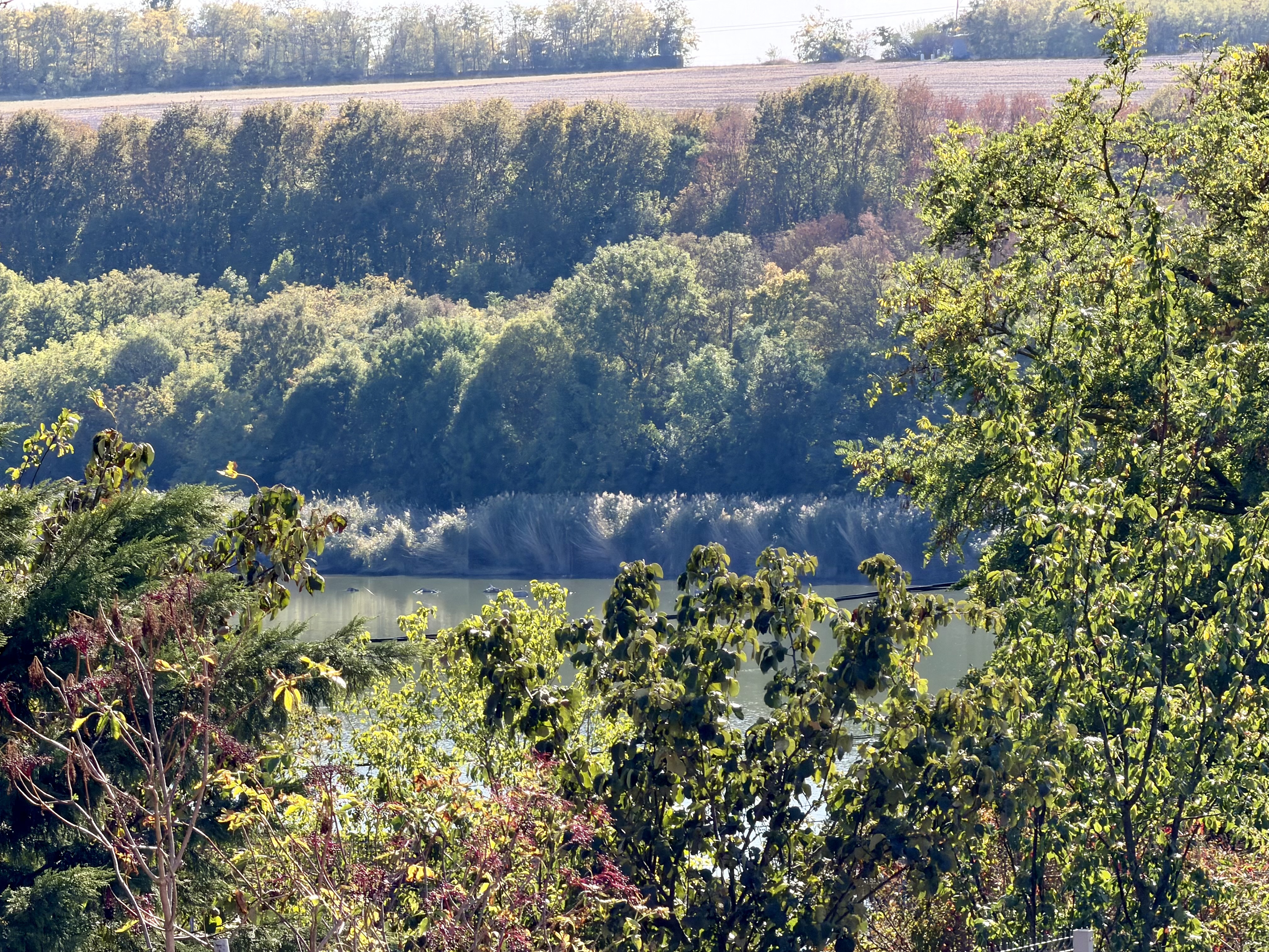 Beautiful unobstructed lake view – building plot in Biatorbágy