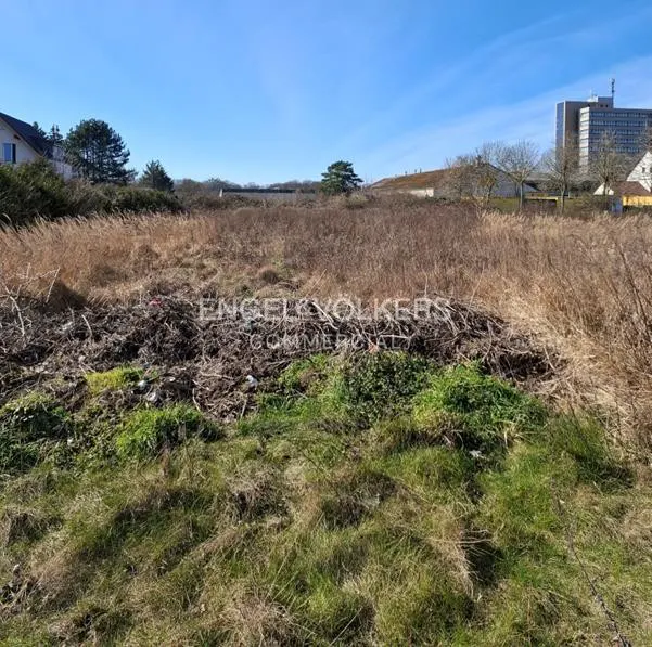 Vacant lot with tall grass and weeds, some green patches, under a blue sky. Buildings are visible in the background.