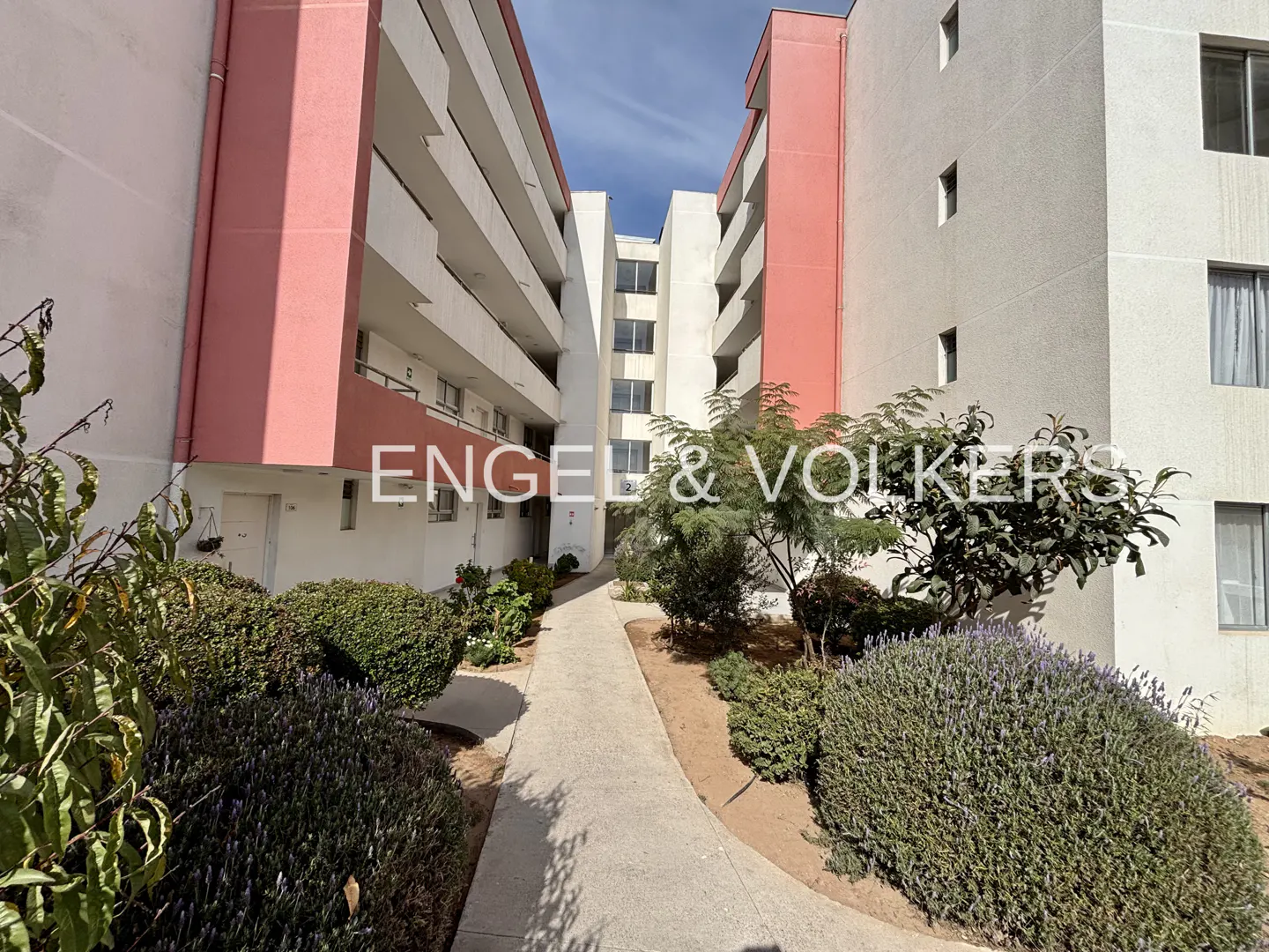 Exterior view of a white apartment building with pink accents, a walkway, and landscaping.