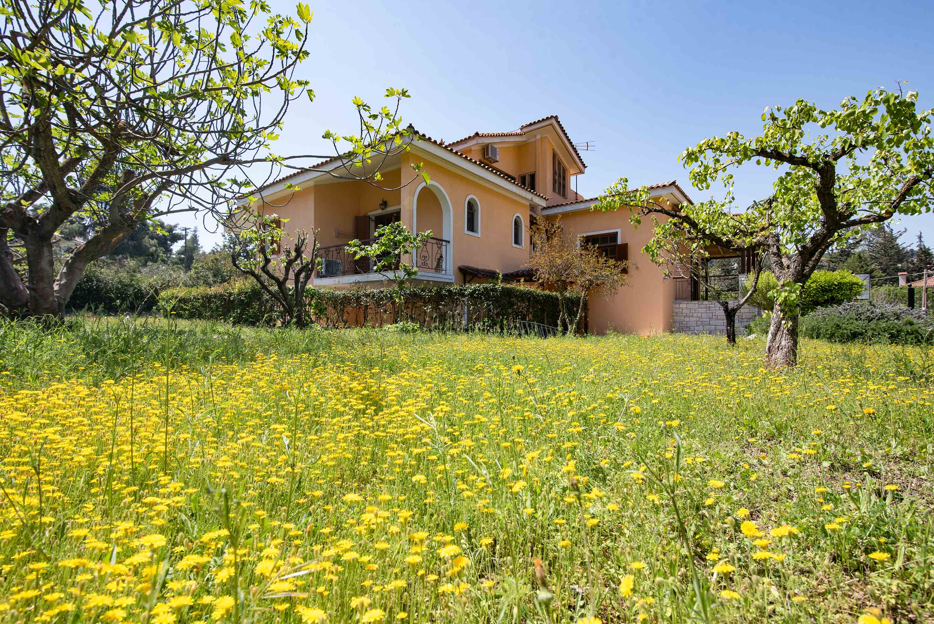 Detached house of 378 sq.m. with a large garden
