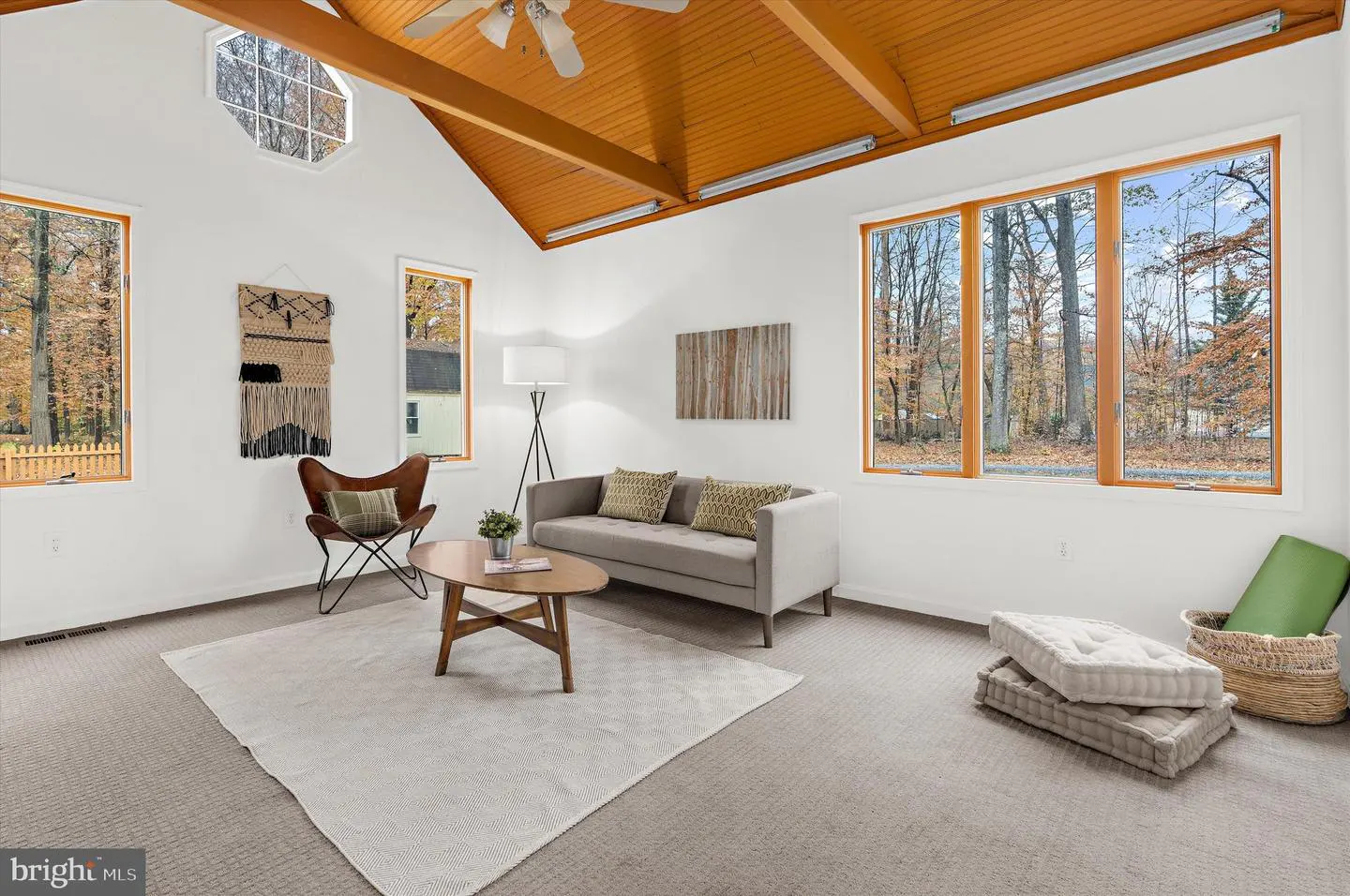 Bright living room with white walls, wood-paneled ceiling, and large windows showing trees. A gray sofa, leather chair, and area rug furnish the space.