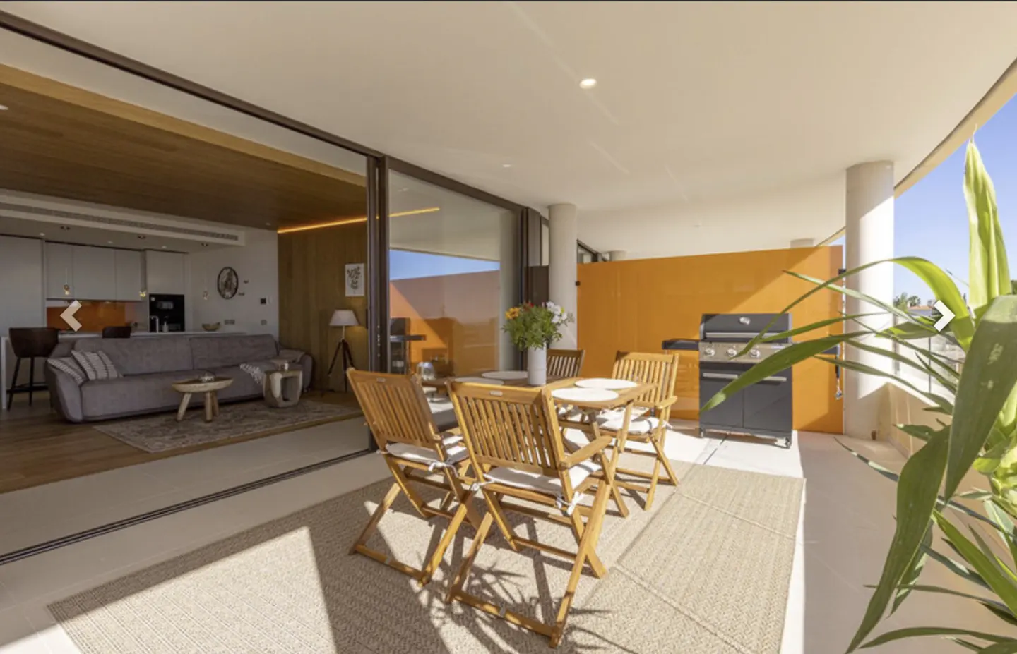 Open-plan living area with a patio. The patio has a wooden table and chairs, a grill, and a plant. The living area has a gray sofa.