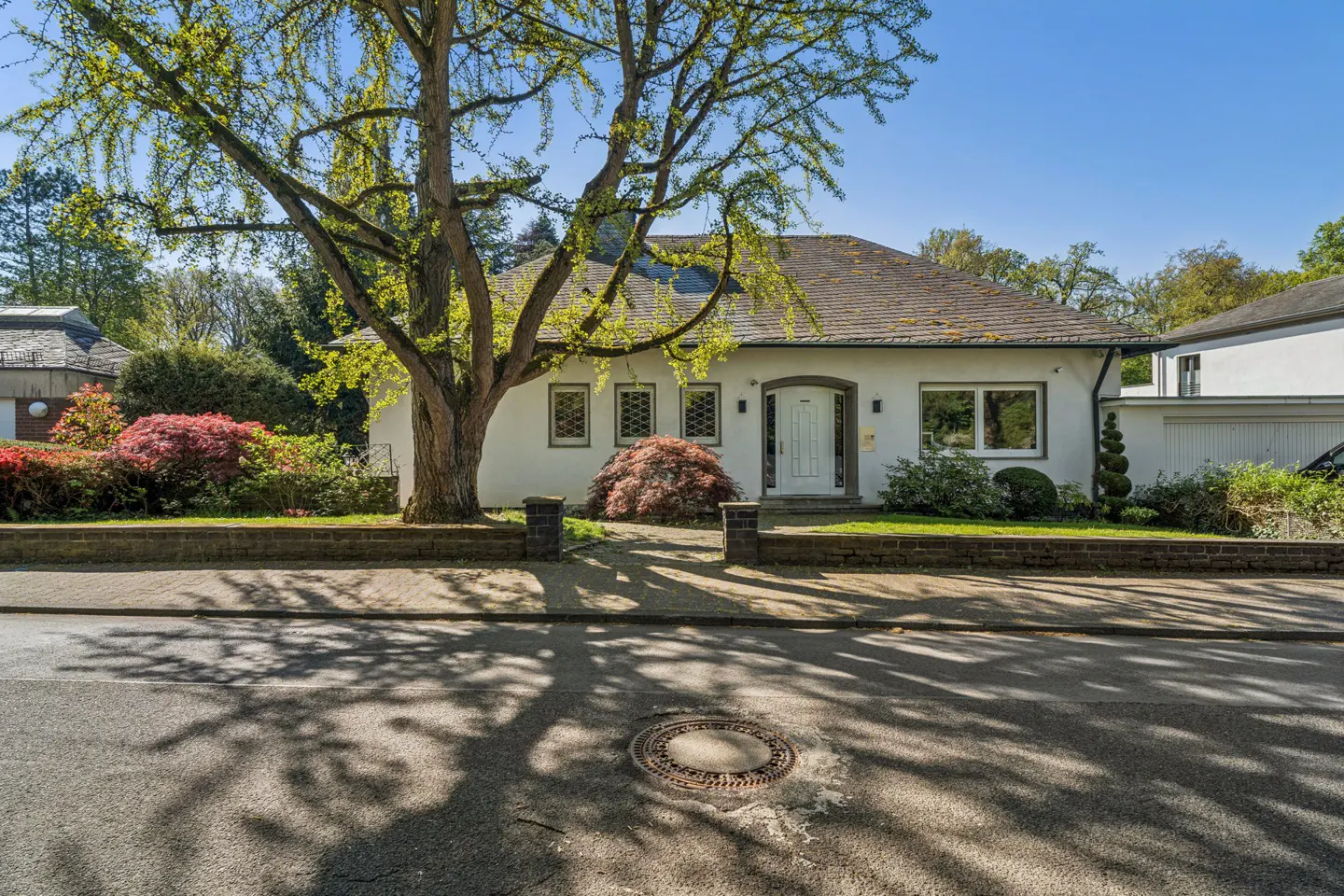 A white, single-story house with a brown roof, framed by a large tree and colorful bushes. Shadows dapple the street in front.