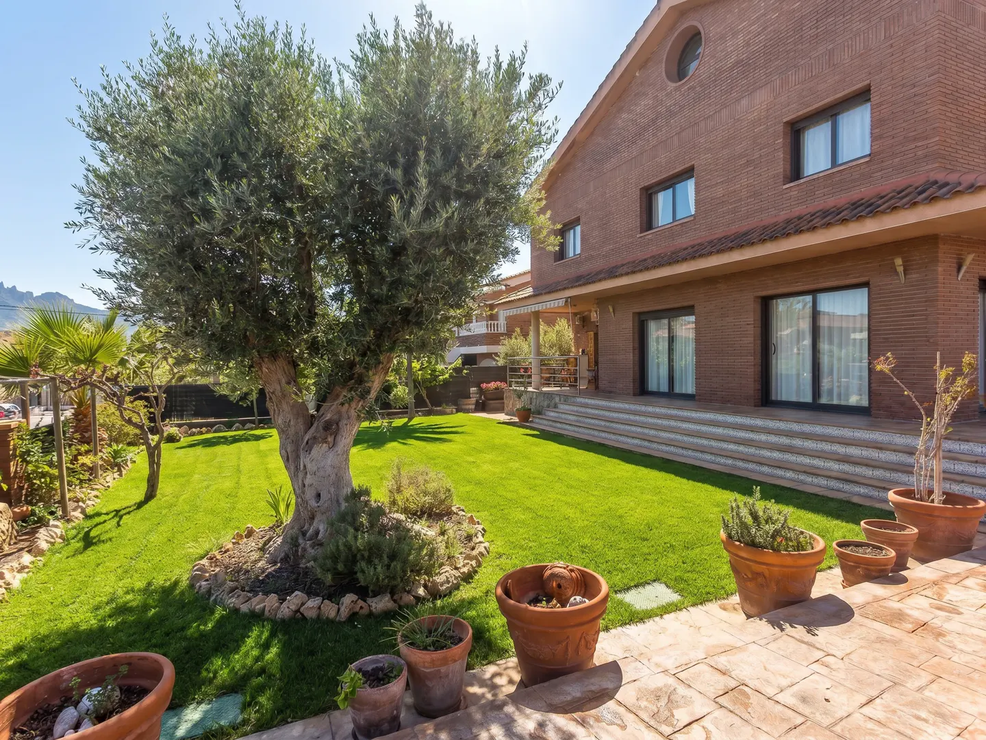 [AI-generated photo]