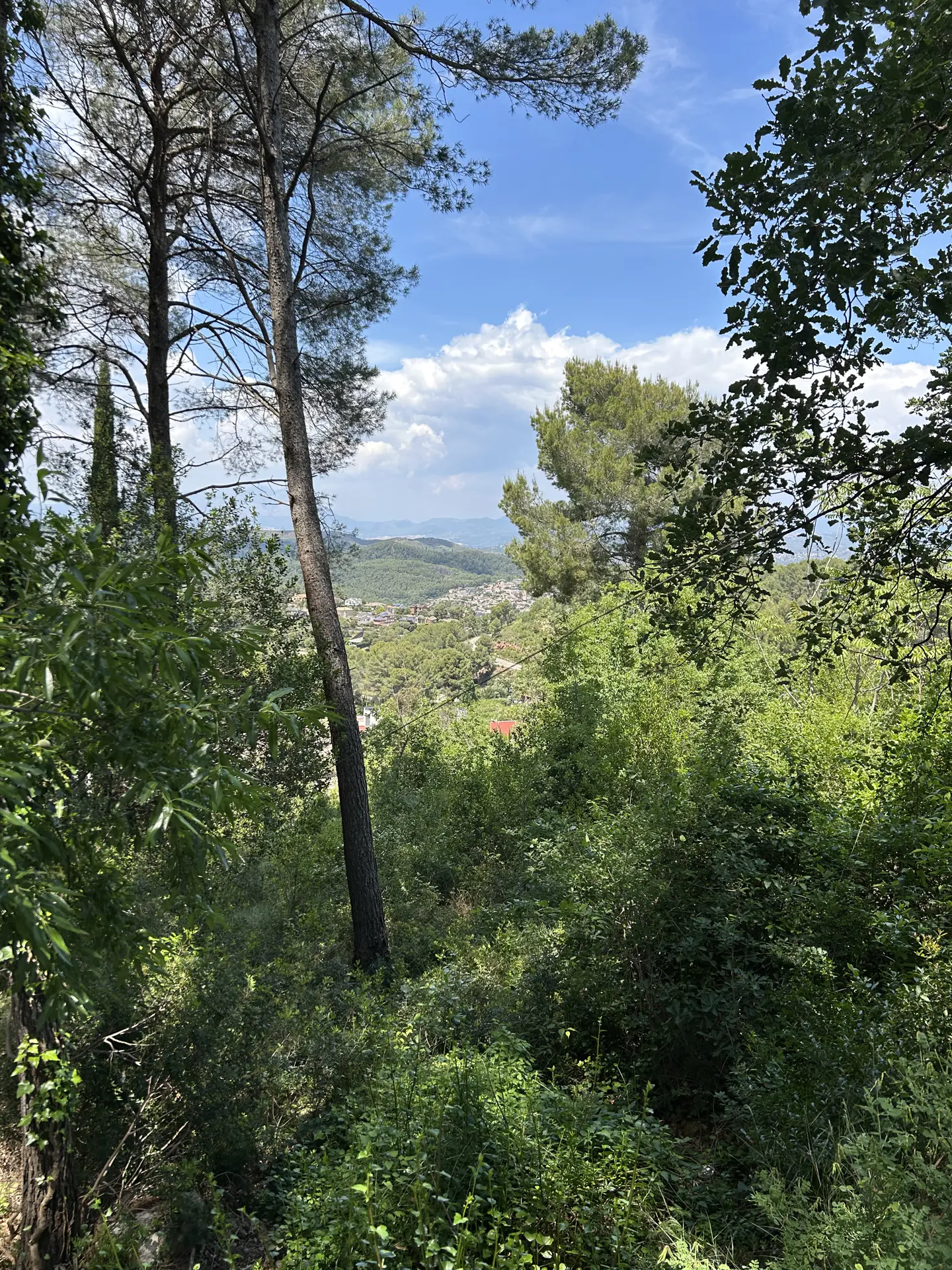View of a town from a green hillside with trees under a blue sky with white clouds.
