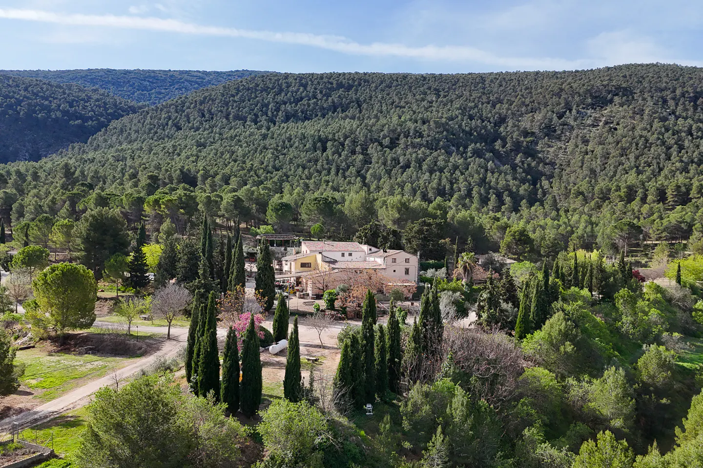 Aerial view of a multi-building estate with light-colored walls, surrounded by tall green trees and a dense forest on a hillside.