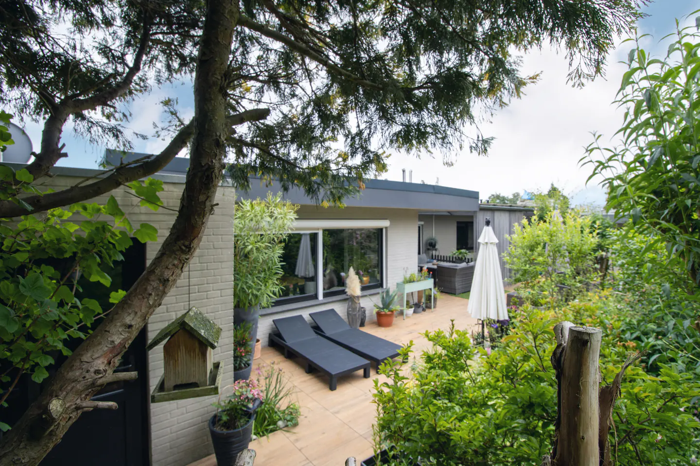 A modern patio with two black lounge chairs, a white umbrella, and lush greenery, framed by a tree and a birdhouse.