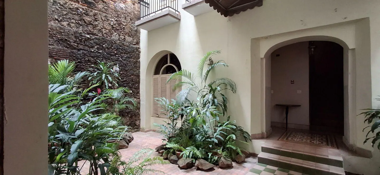Courtyard view with stone wall, plants, arched window with shutters, and arched doorway leading inside.