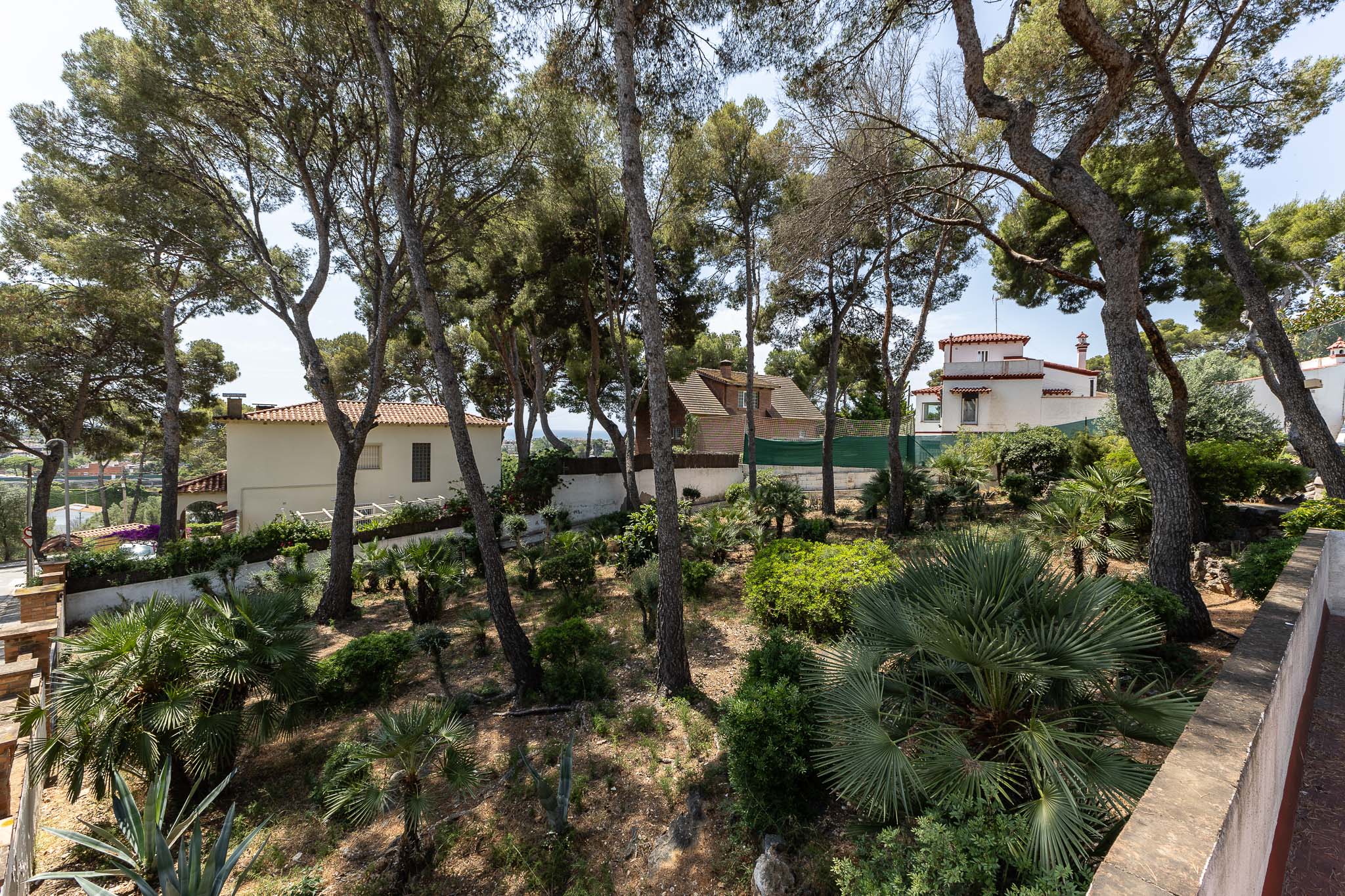 Nearly flat plot — Great opportunity!