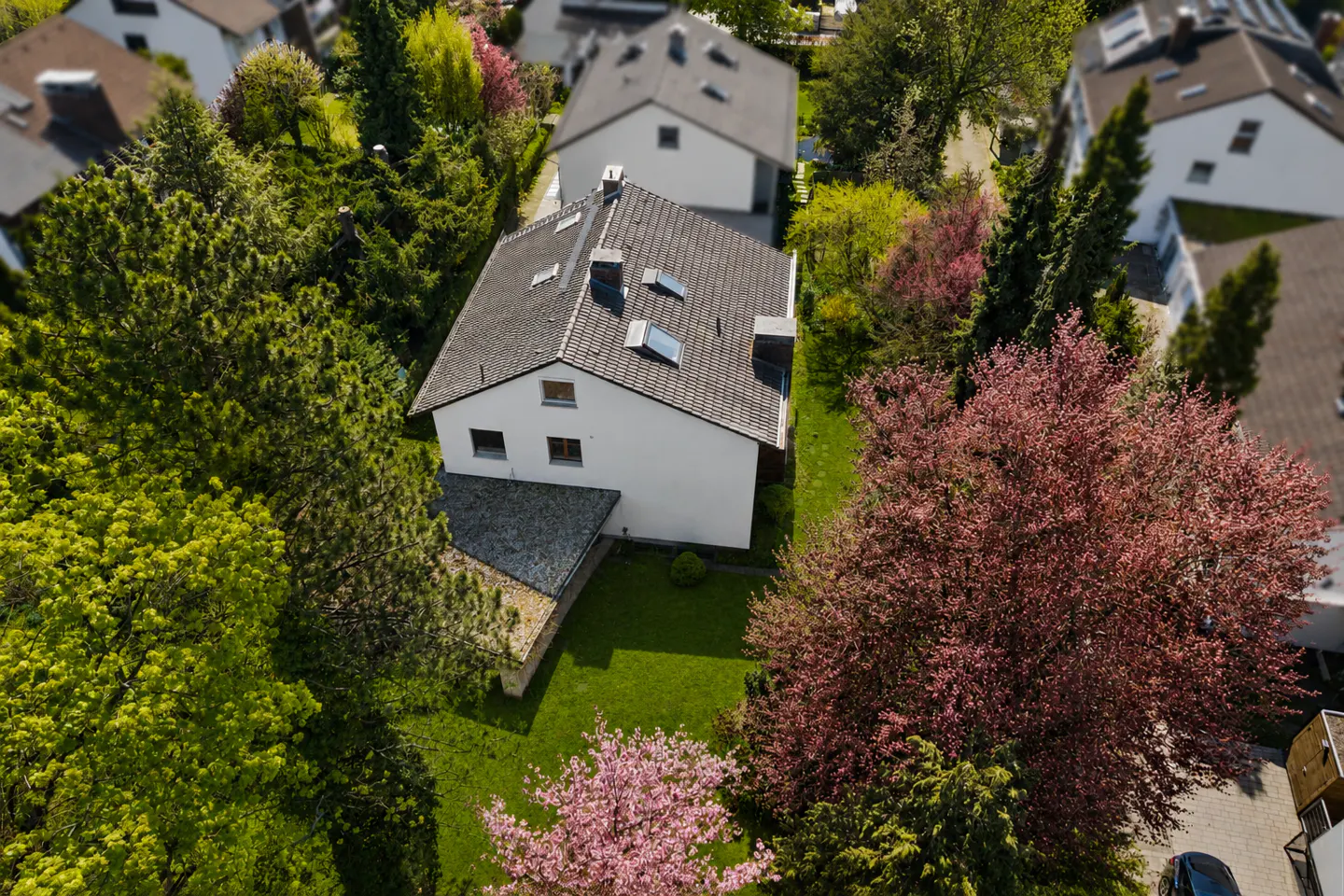 Aerial view of a white house with a gray roof, surrounded by green trees and pink flowering trees.