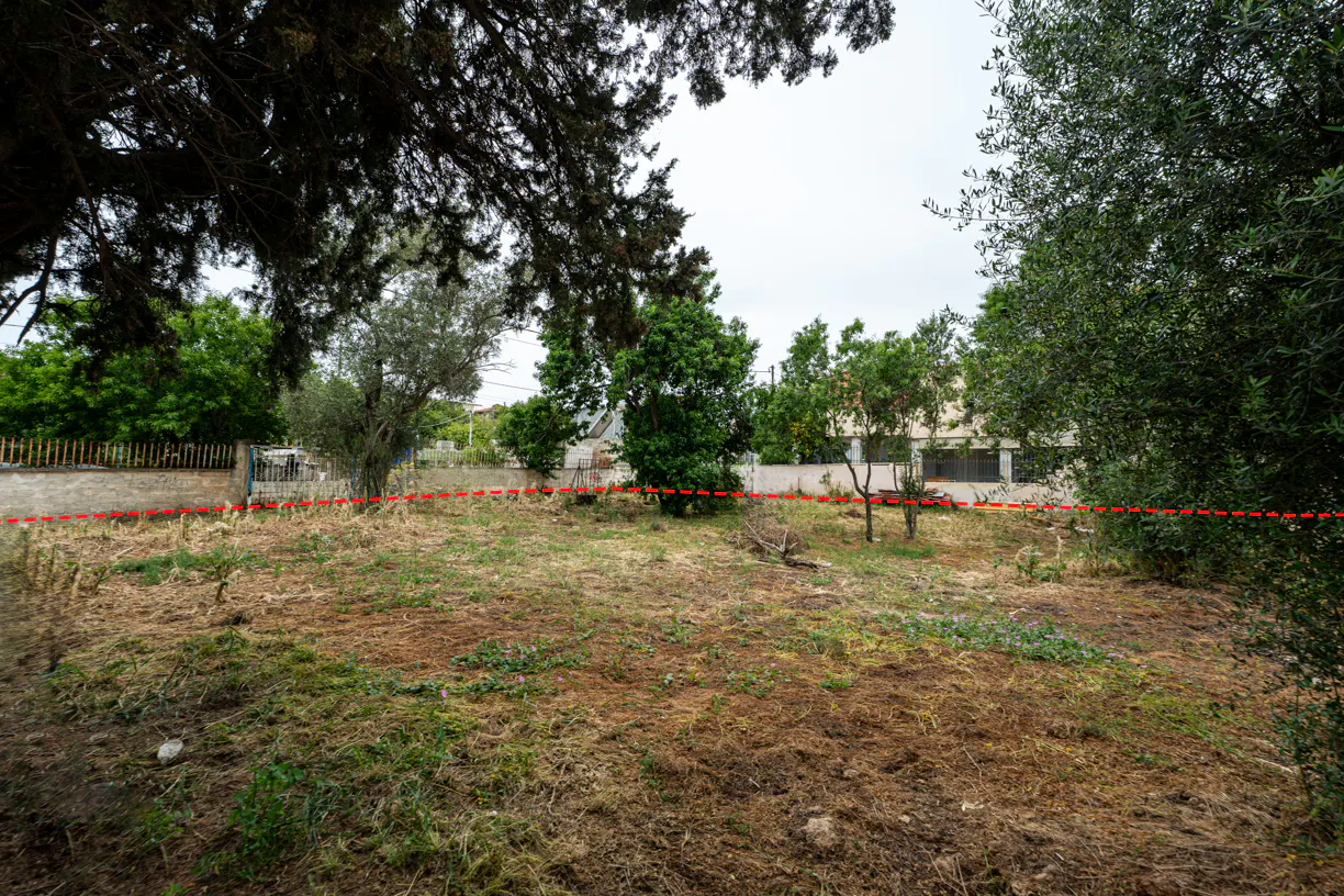 Vacant lot with trees and a red dotted line marking the property boundary. A fence and buildings are in the background.