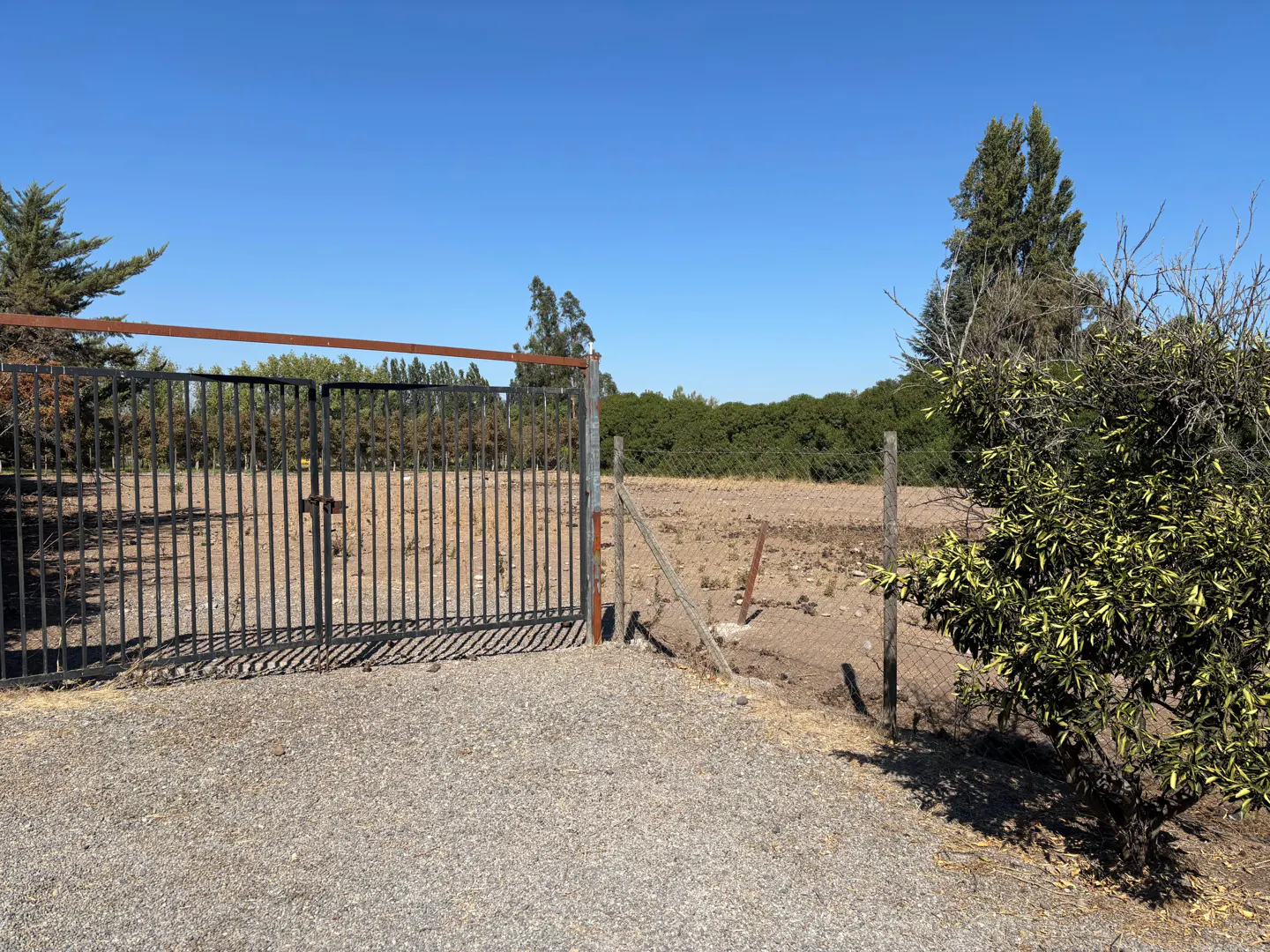 Gravel driveway leads to a black metal gate and fenced lot under a clear blue sky. Trees line the back of the property.