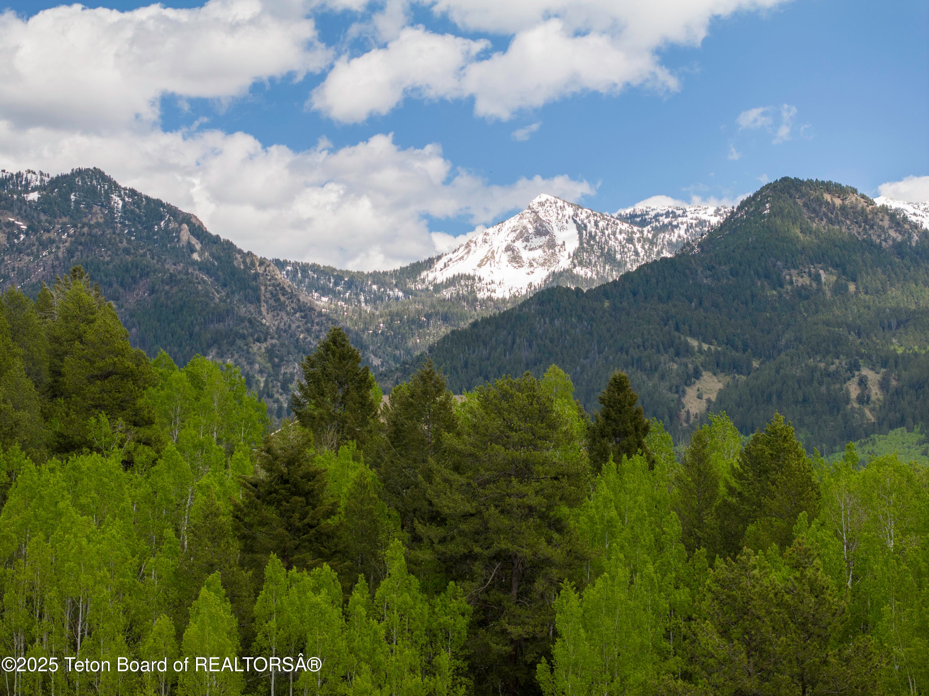 Claim your 8-acre alpine sanctuary in Hidden Pines