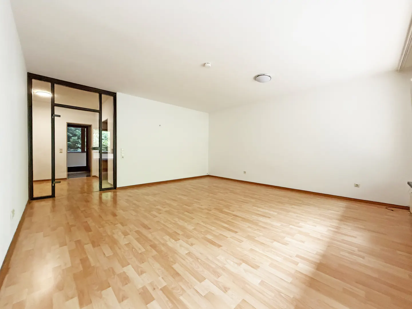 Empty room with light wood flooring, white walls, and a glass-paneled door leading to a hallway.
