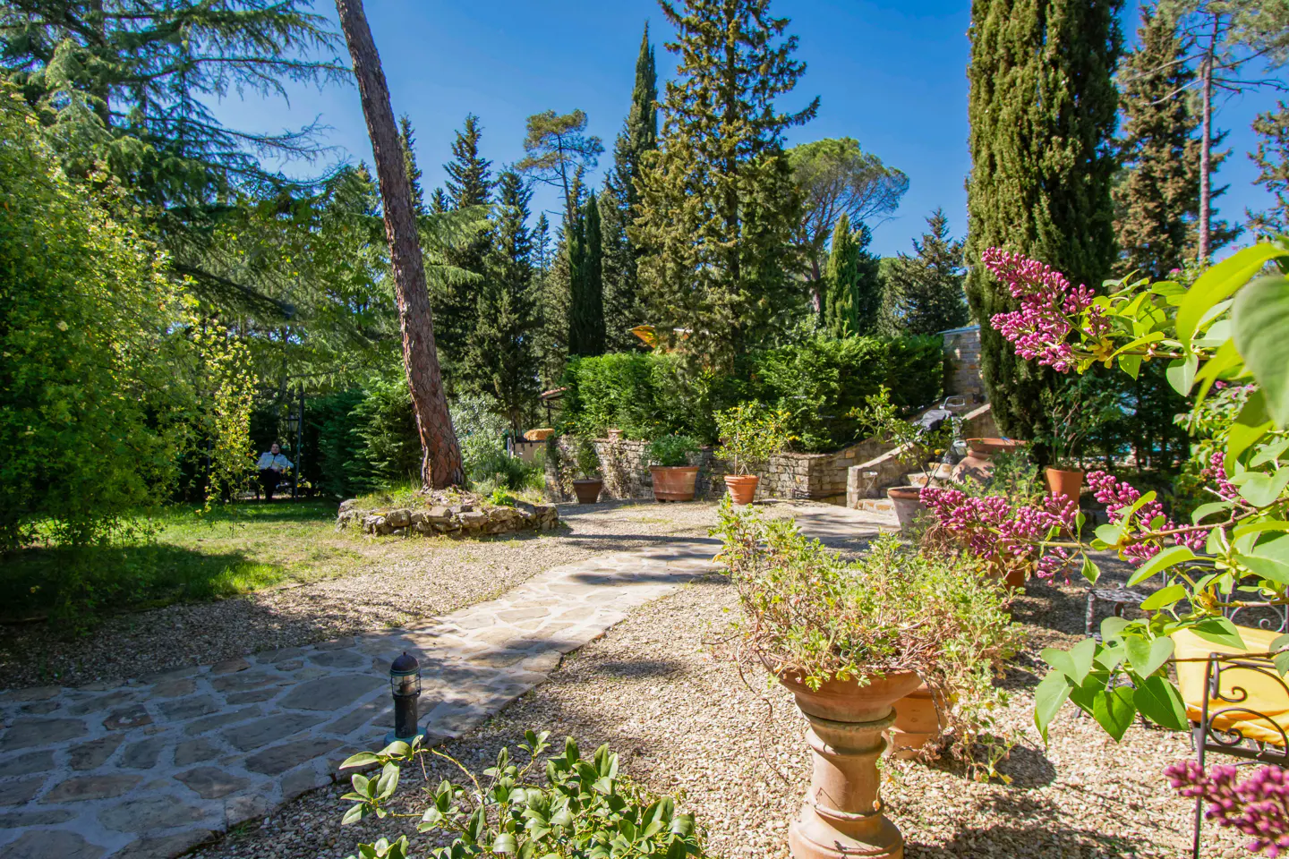 Stone path through a lush green garden with trees, potted plants, and purple flowers under a bright blue sky.