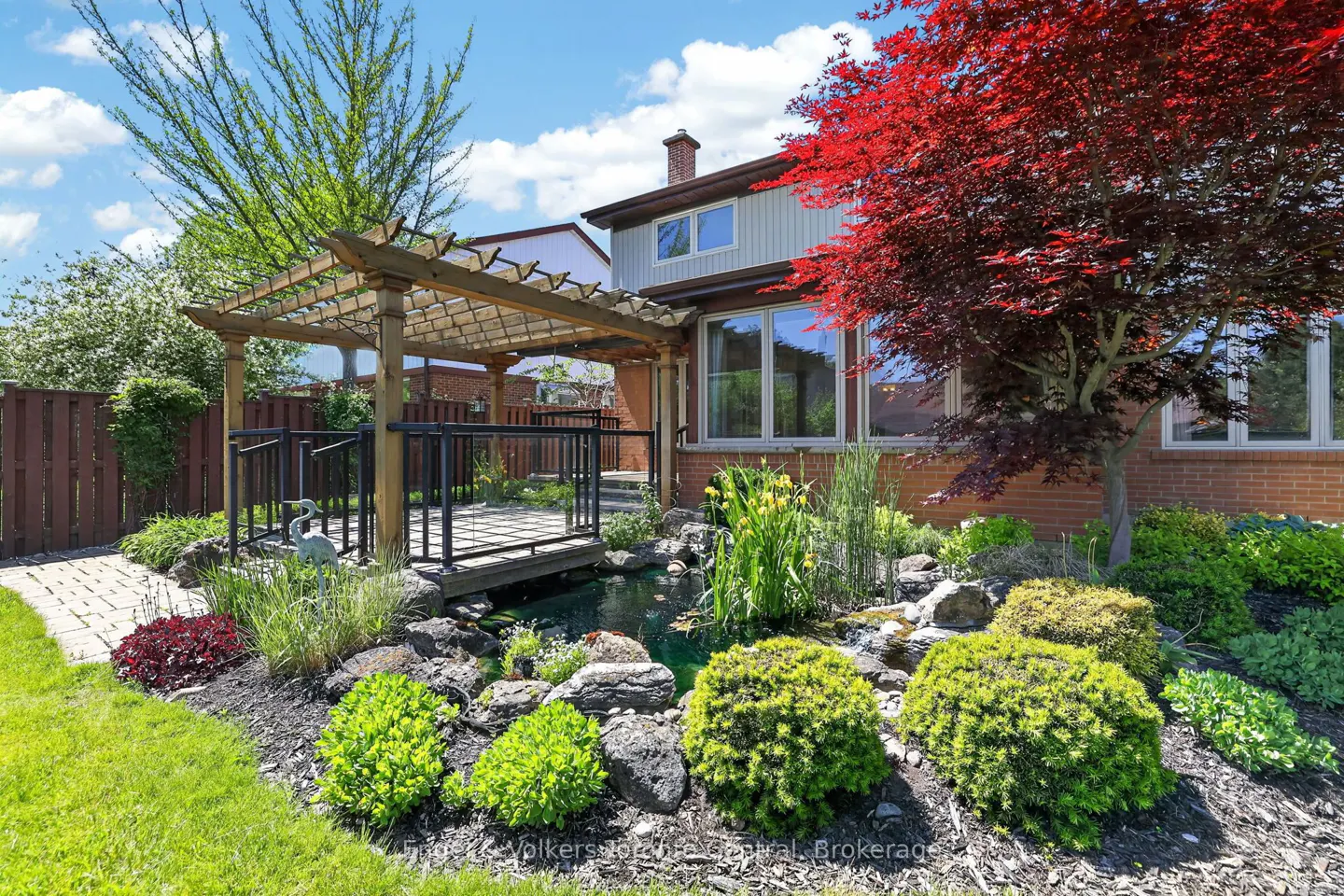 Backyard with a wooden pergola over a deck, a small pond, lush landscaping, and a vibrant red Japanese maple tree.