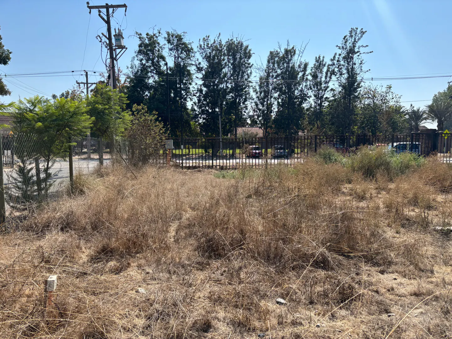 Vacant lot with dry, brown grass and weeds. A black iron fence and trees are in the background under a clear blue sky.