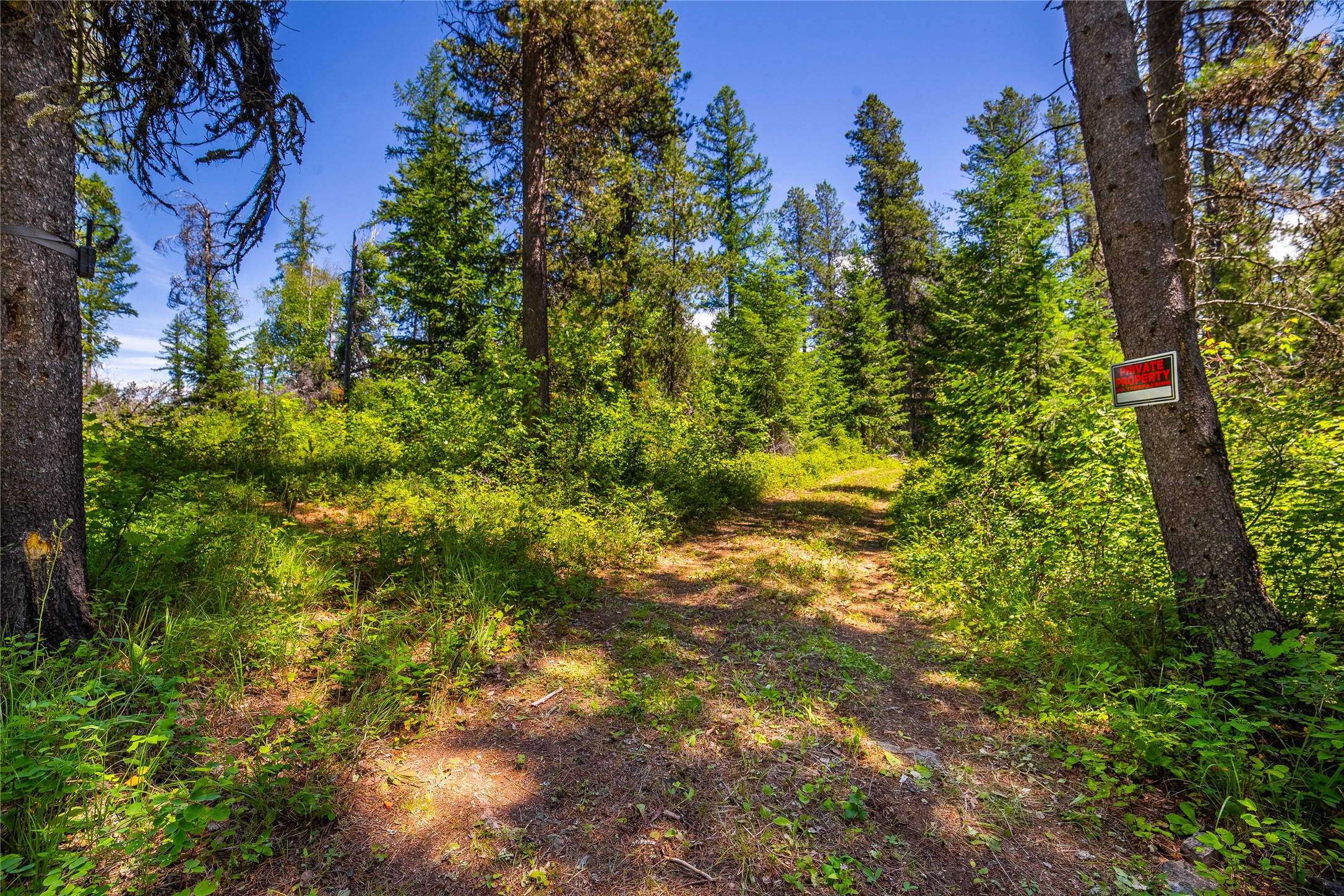 10 Acre Parcel In Heart of Montana's Glacier Corridor