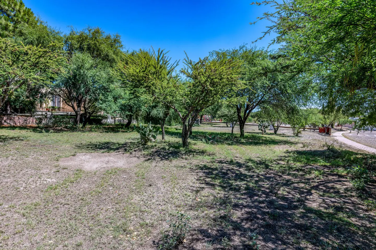 A grassy lot with trees under a blue sky, some shadows on the ground.