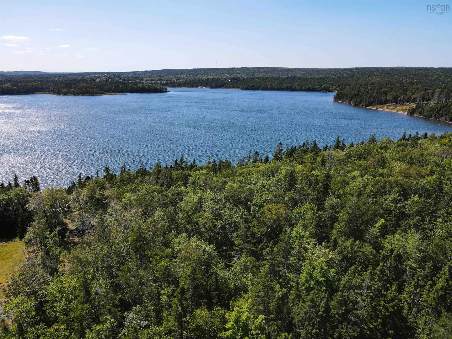 Aerial view of a blue lake surrounded by green trees under a clear blue sky.