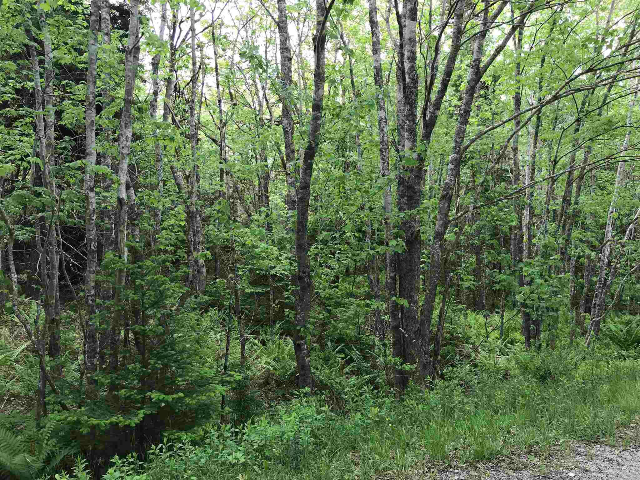 Building Lots and Acreage
