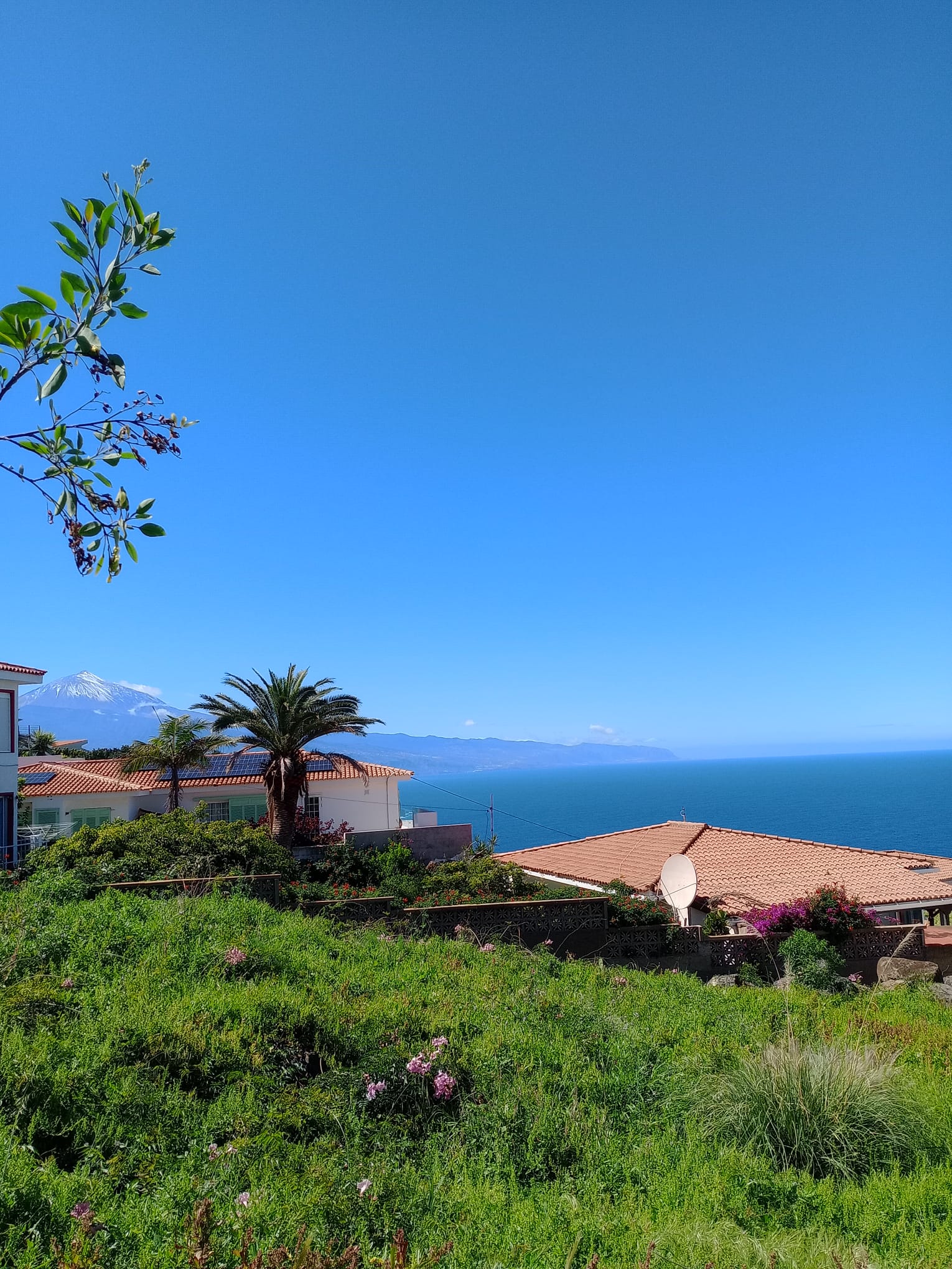 Land with sea and Mount Teide views in Tacoronte