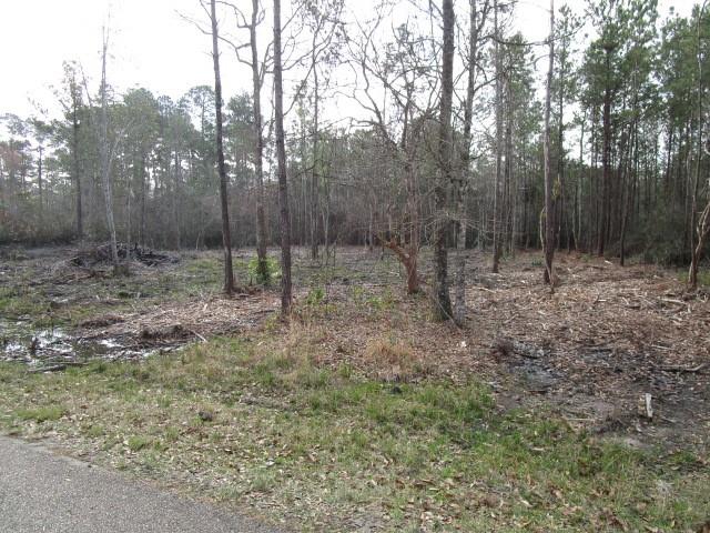 1 Acre Lot waiting for a New Home