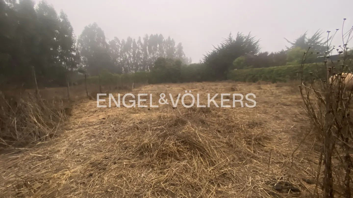 A vacant lot with dry grass and trees in the background on a foggy day. Engel & Völkers logo is superimposed.