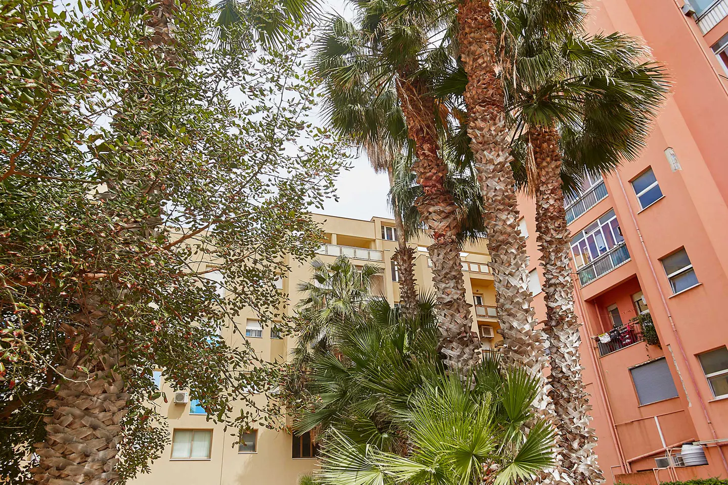 View of palm trees and green foliage in front of peach and yellow apartment buildings on a sunny day.