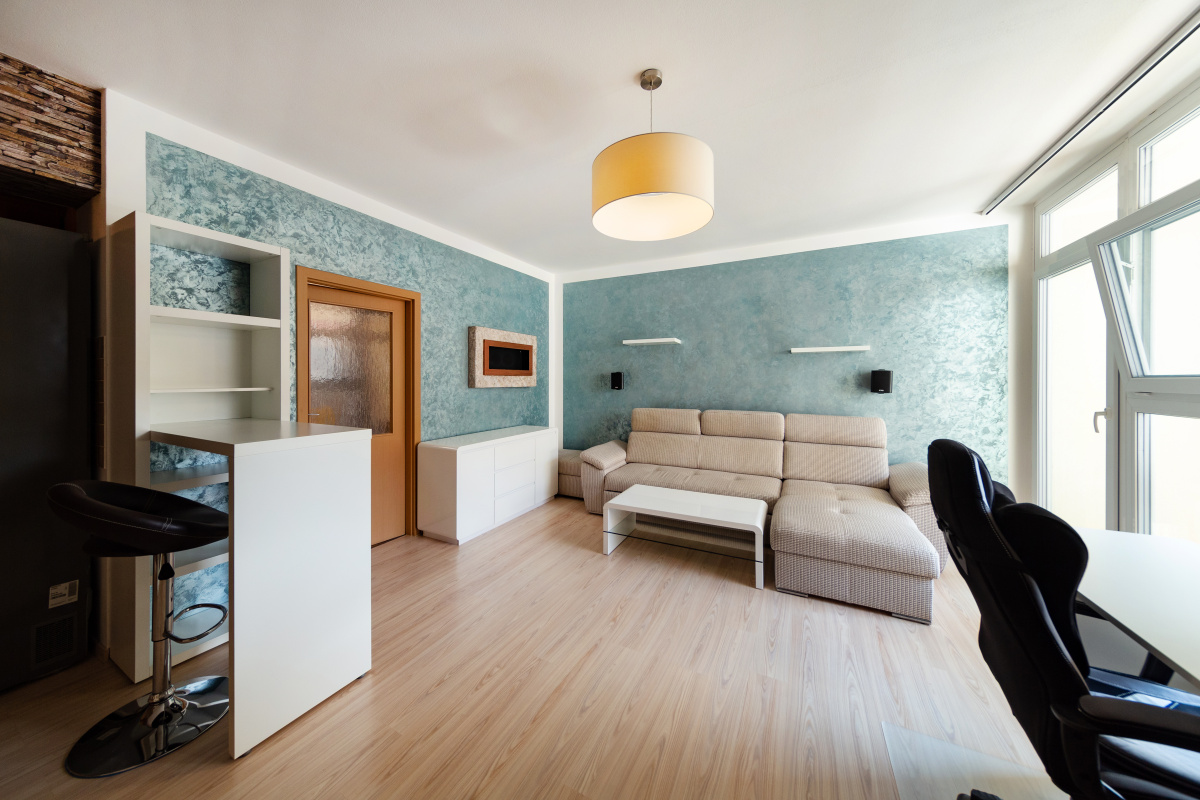 1+kt Apartment fir rent in Severní Předměstí