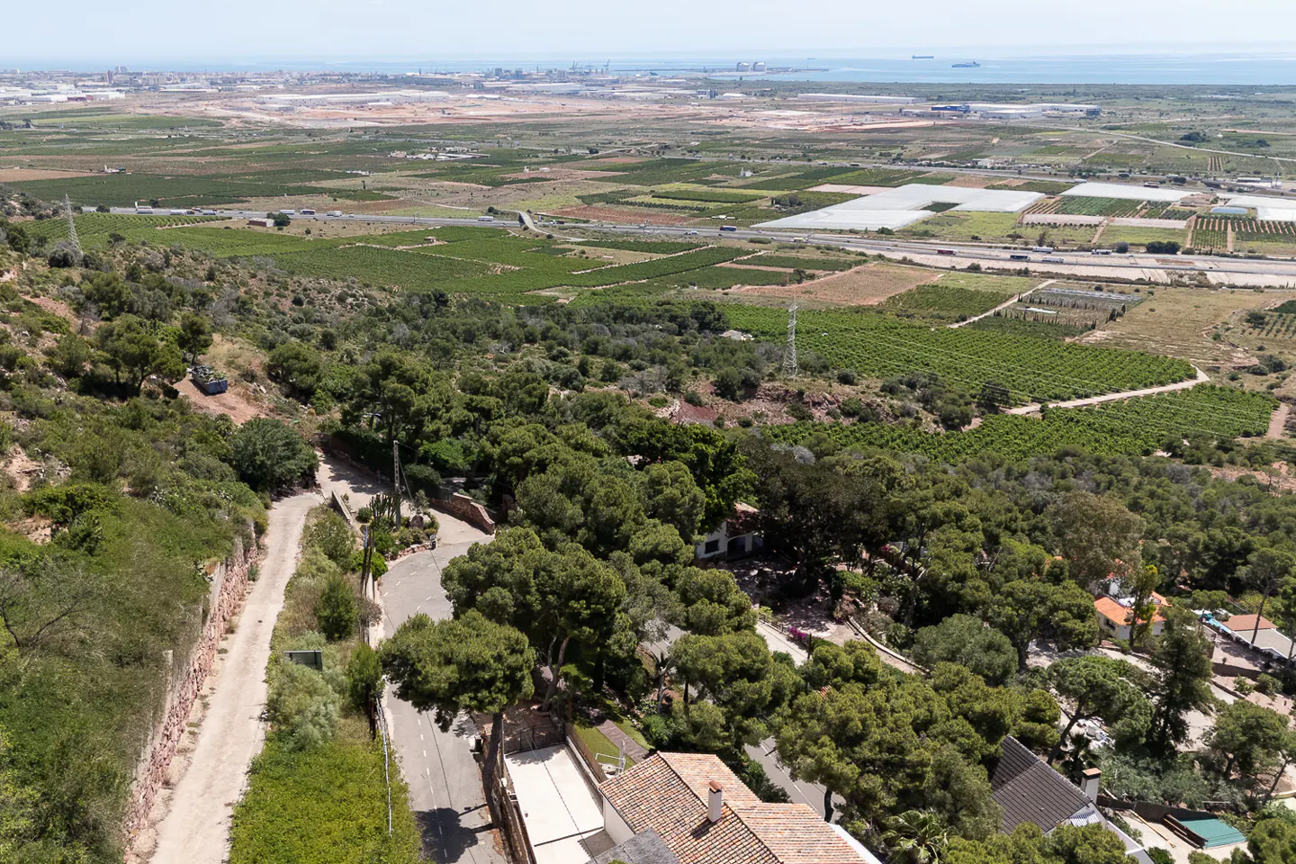 Aerial view of a winding road through green trees, leading to fields and the sea in the distance.