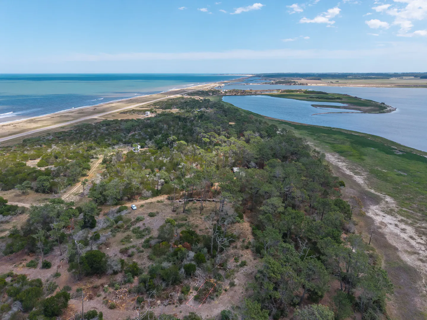 Aerial view of a coastal property with green trees, blue ocean, and a sandy beach under a blue sky.