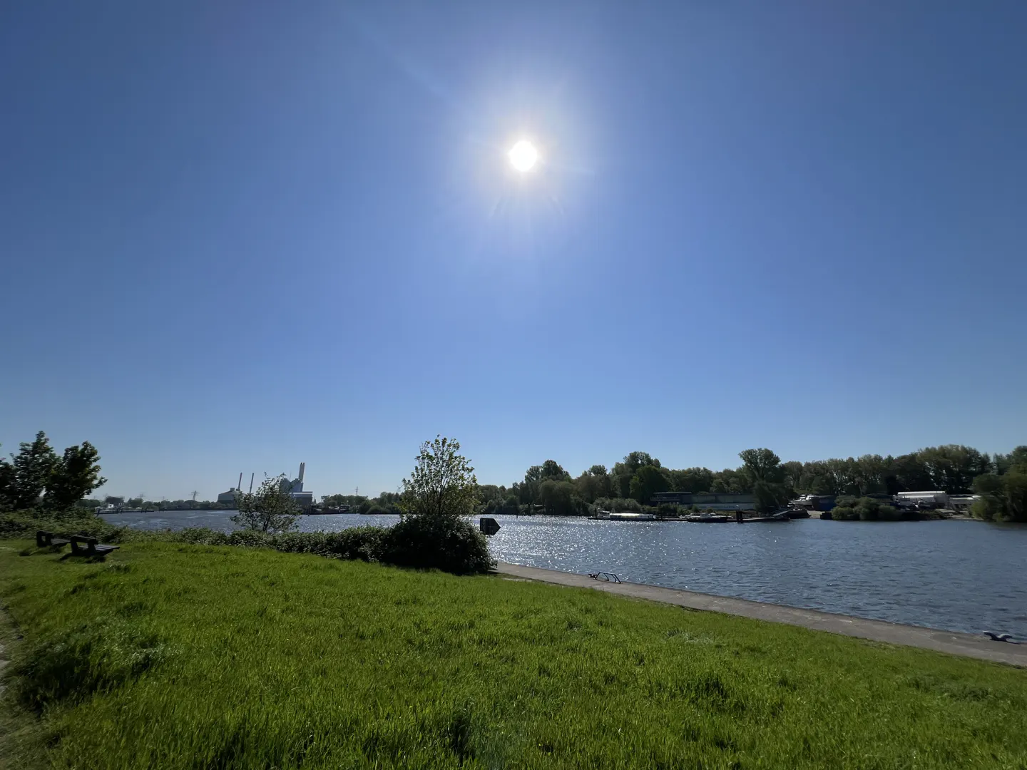 Sunny day view of a river with green grass in the foreground and trees on the opposite bank.