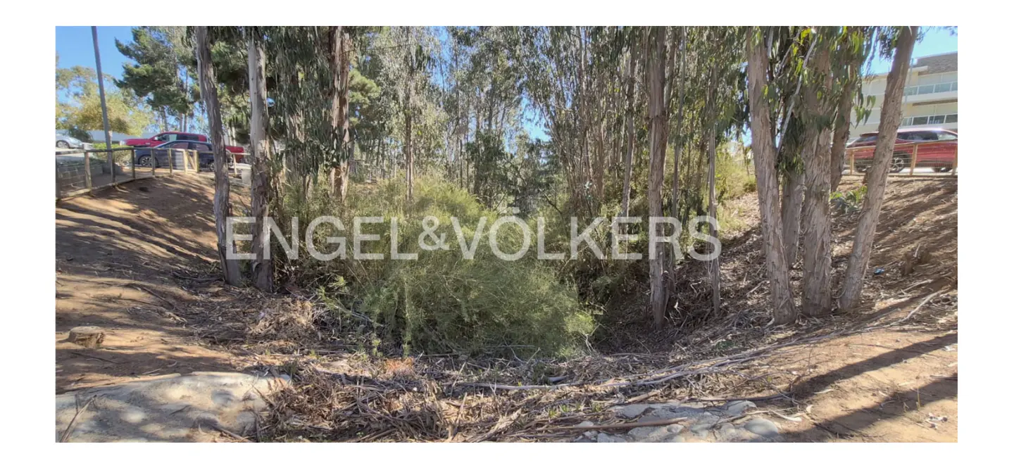 A vacant lot with tall trees and shrubs, and the Engel & Volkers logo superimposed on the image. Cars are visible in the background.