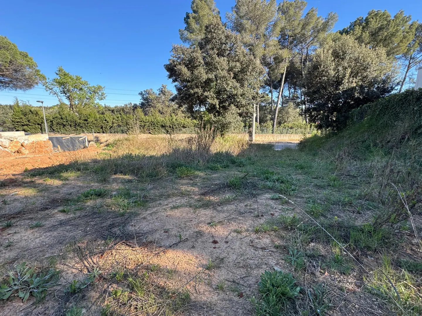 Vacant lot with dirt and sparse grass, surrounded by trees under a clear blue sky.