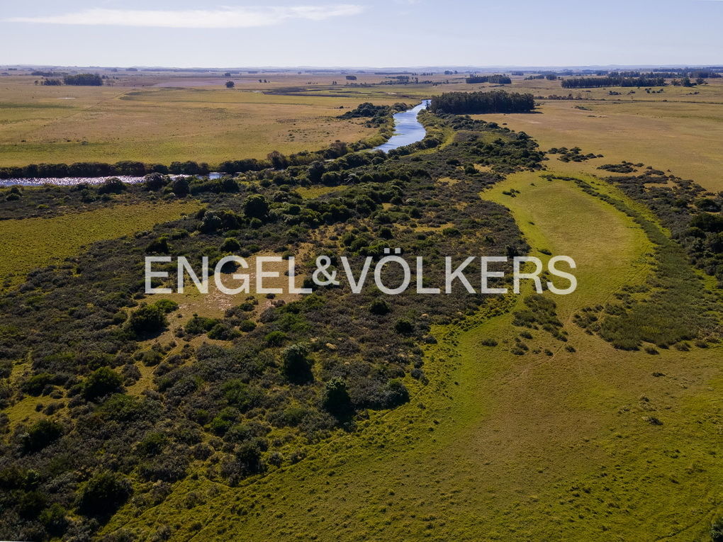 english title bla bla