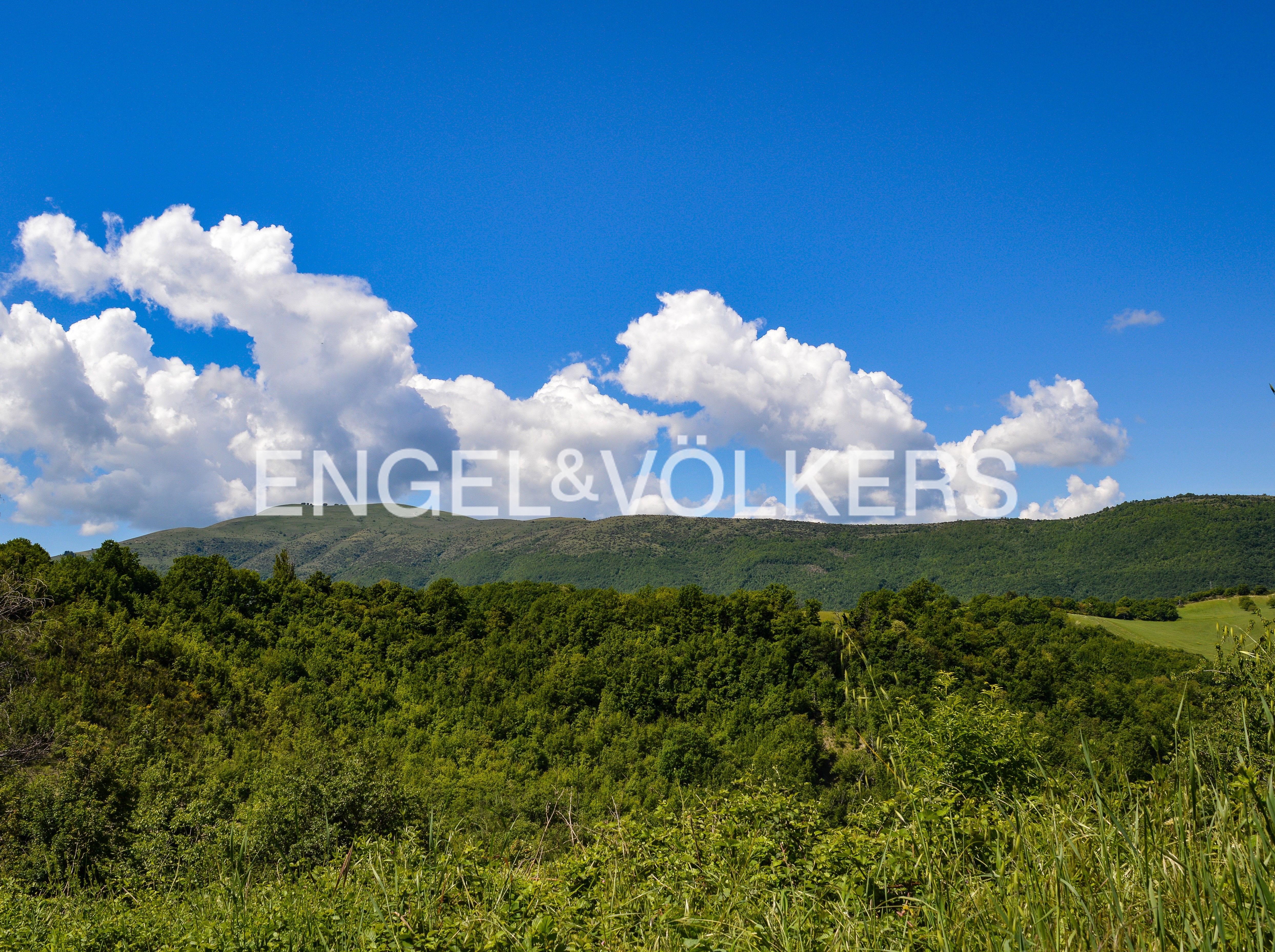Agricultural land in Borgo Bazzano