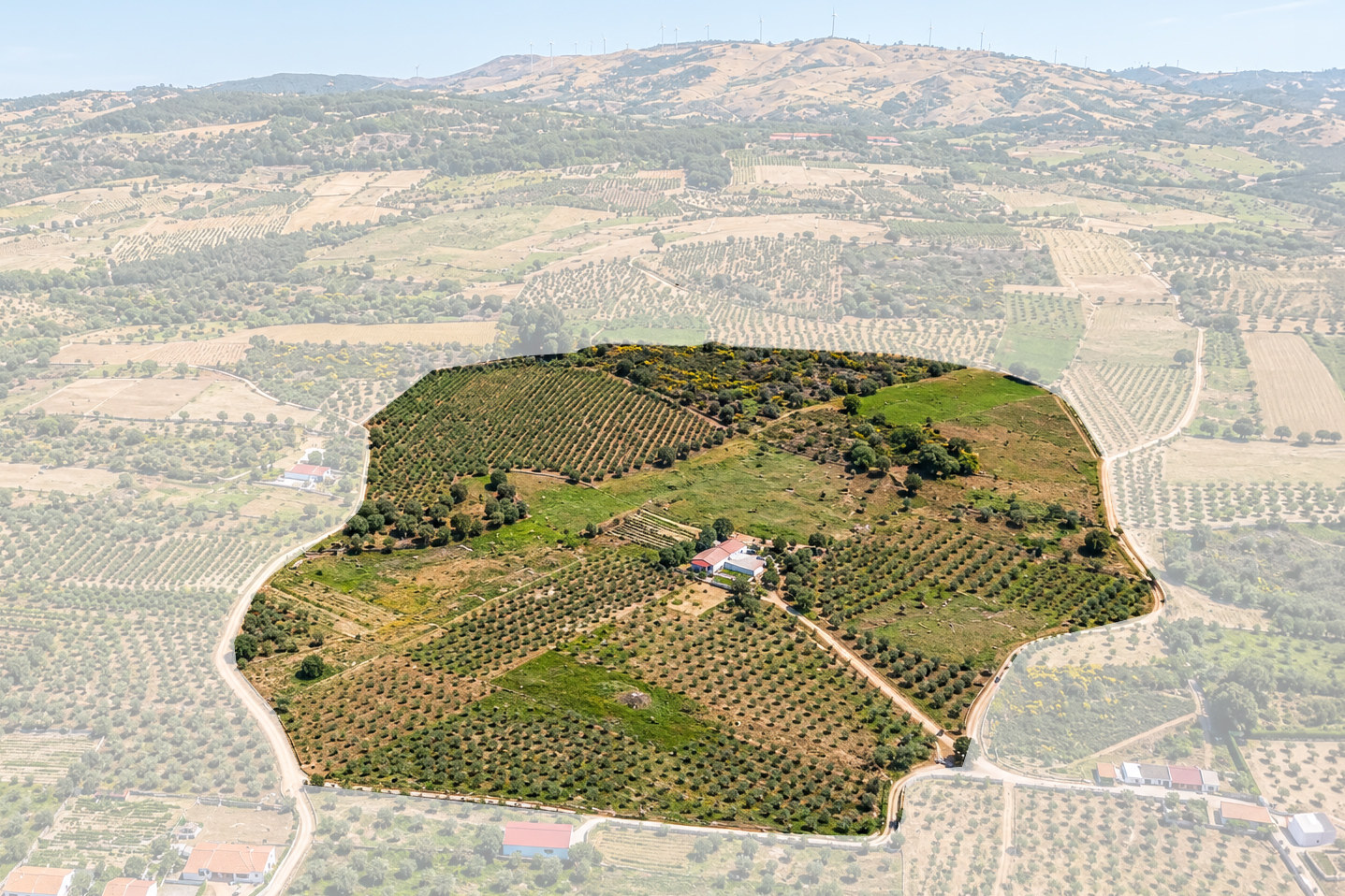 18-Hectare Organic Estate in the Douro Valley