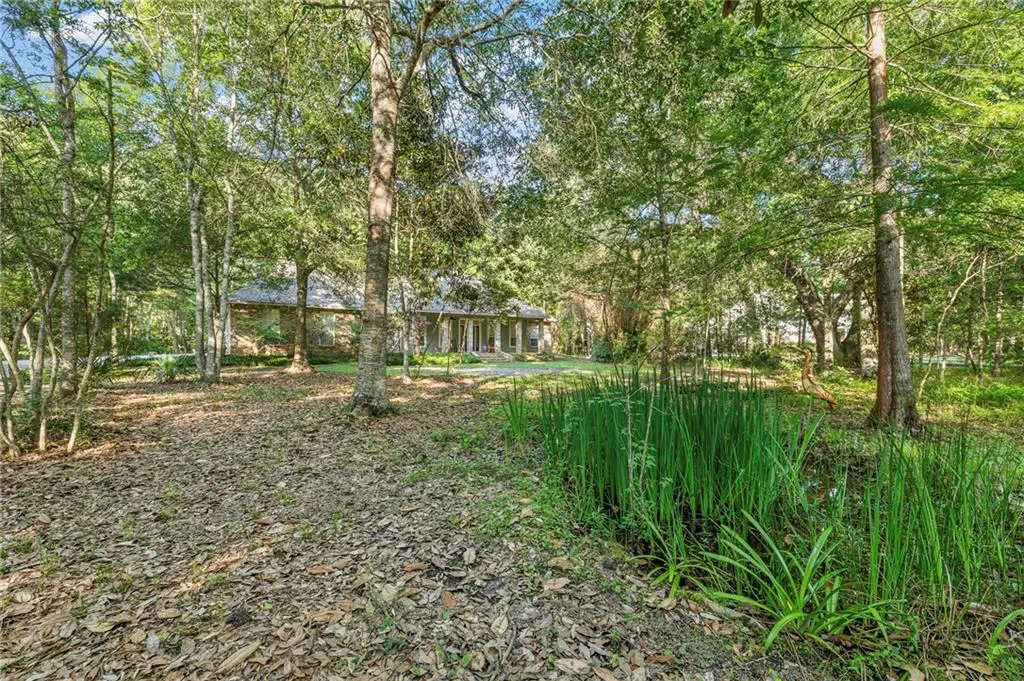 Exterior view of a stone house surrounded by tall trees and green foliage. The ground is covered with fallen leaves.
