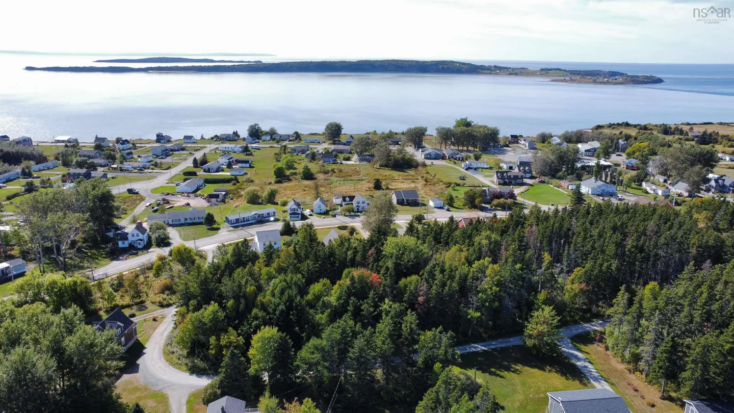 Aerial view of a coastal town with houses, trees, and a body of water with an island in the background.