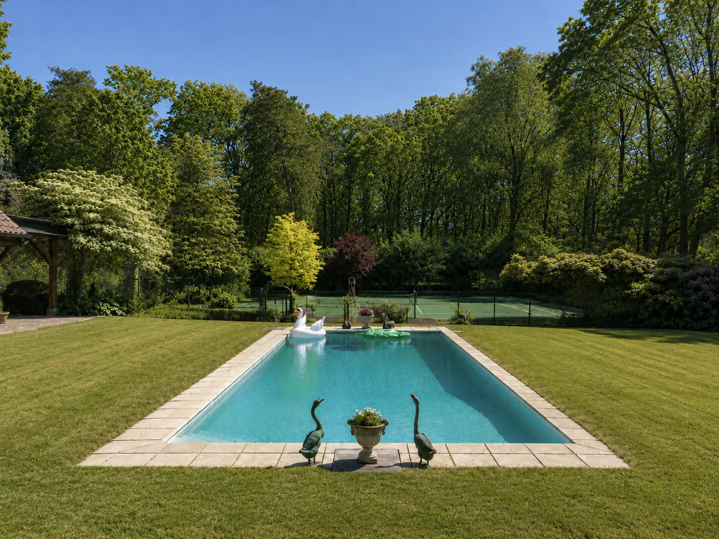 A backyard with a rectangular pool, swan float, and green lawn surrounded by trees.