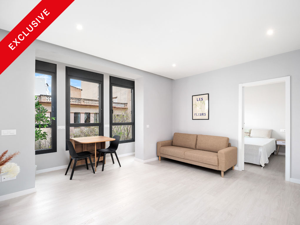 Modernly renovated apartment with private rooftop terrace on Blanquerna Street